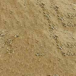 Deoiled Rice Bran Deoiled Rice Bran