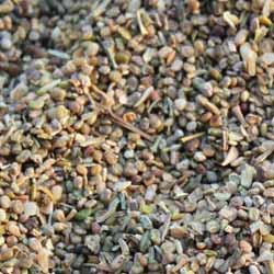 Guar Korma Guar Korma