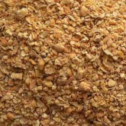 Cotton Seed Meal Cotton Seed Meal