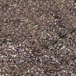 Sunflower DOC Sunflower DOC